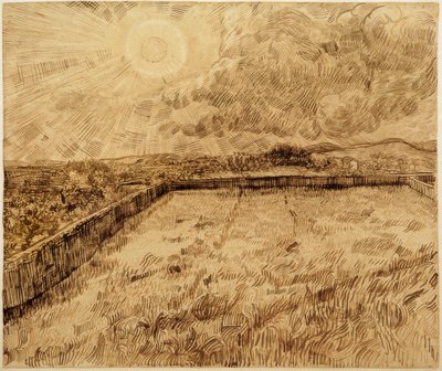 Felder und Ölbäume von Vincent van Gogh